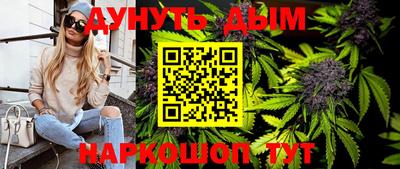 гидра Славгород
