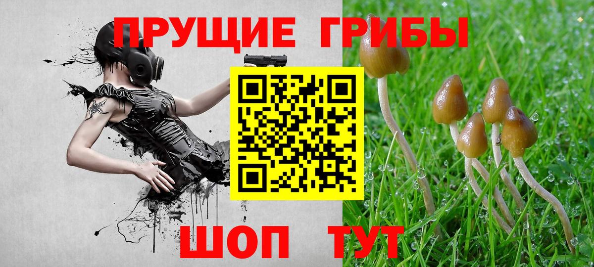 Псилоцибиновые грибы GOLDEN TEACHER Мурманск