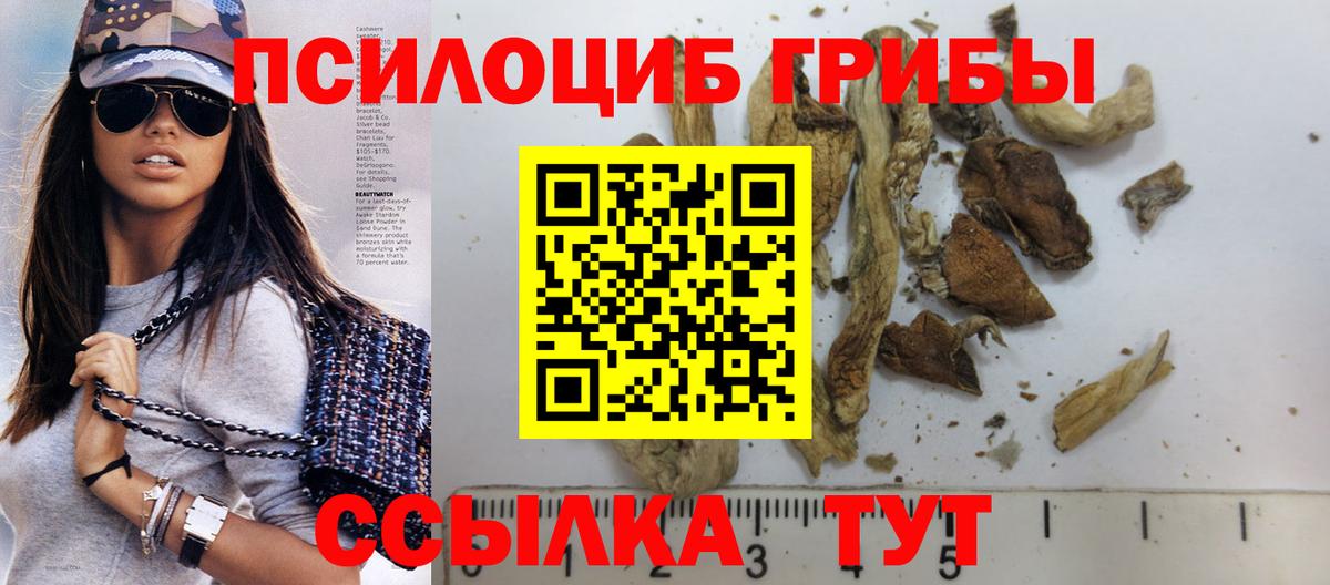 Галлюциногенные грибы Psilocybine cubensis  Вход с VPN  наркота  Мурманск  Псилоцибиновые грибы прущие грибы 